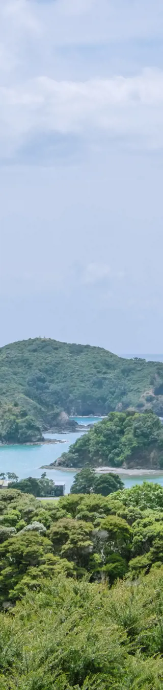 Tauchen auf Poor Knights Islands